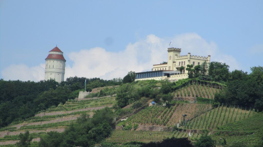 Hotel - Pension Villa Marie 拉德博伊尔 外观 照片